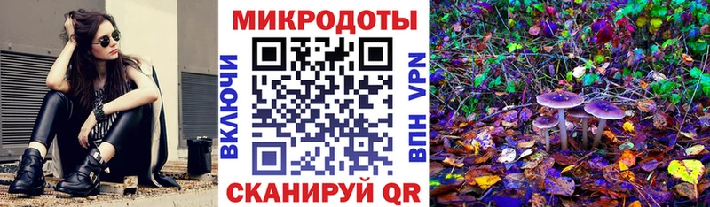 Псилоцибиновые грибы Cubensis  Симферополь 