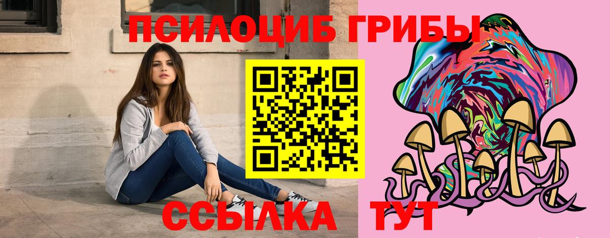 Галлюциногенные грибы Psilocybine cubensis Симферополь